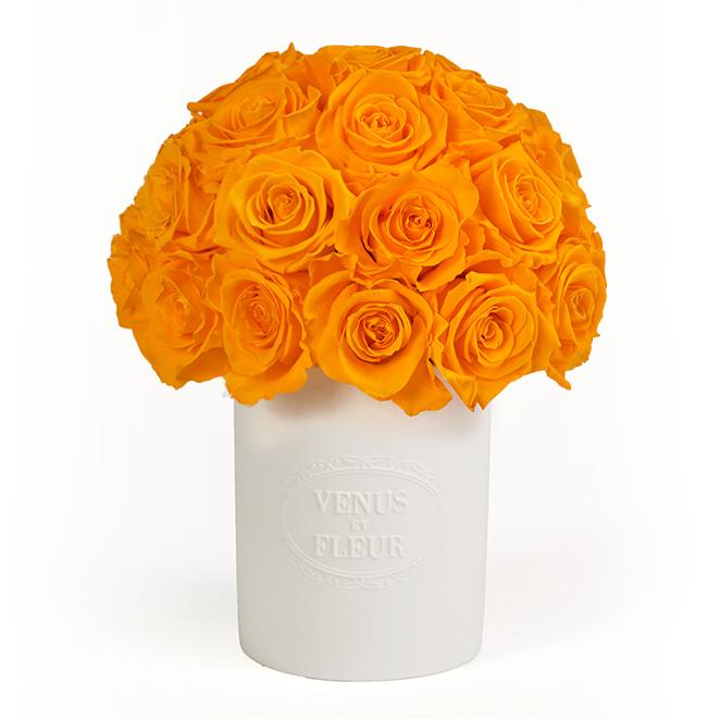 Fleura Vase with Eternity® Roses